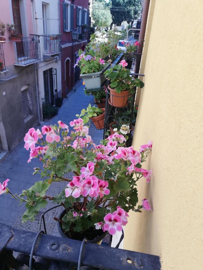 BubiBì Daire Cagliari Dış mekan fotoğraf